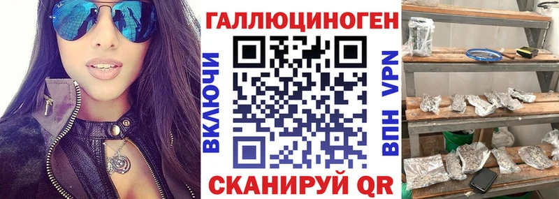 Псилоцибиновые грибы Psilocybine cubensis  kraken онион  Торопец 