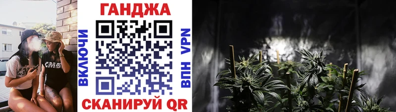площадка наркотические препараты  Торопец  Конопля индика 